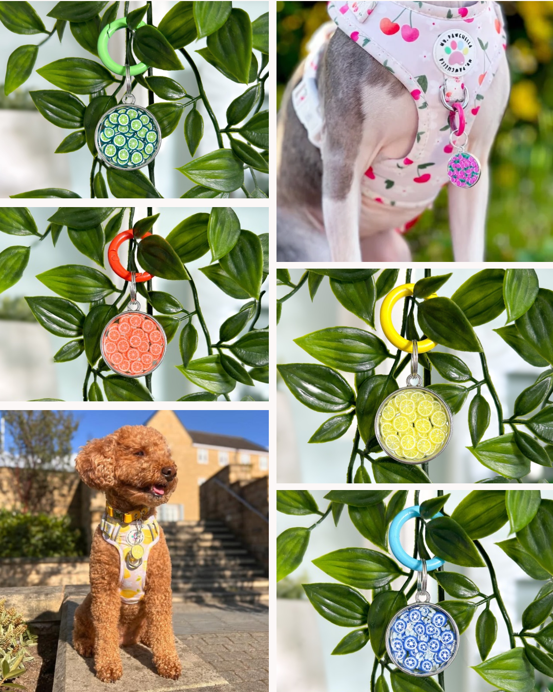 Fruity Resin ID Dog Tag / Pet Tag / Keyring