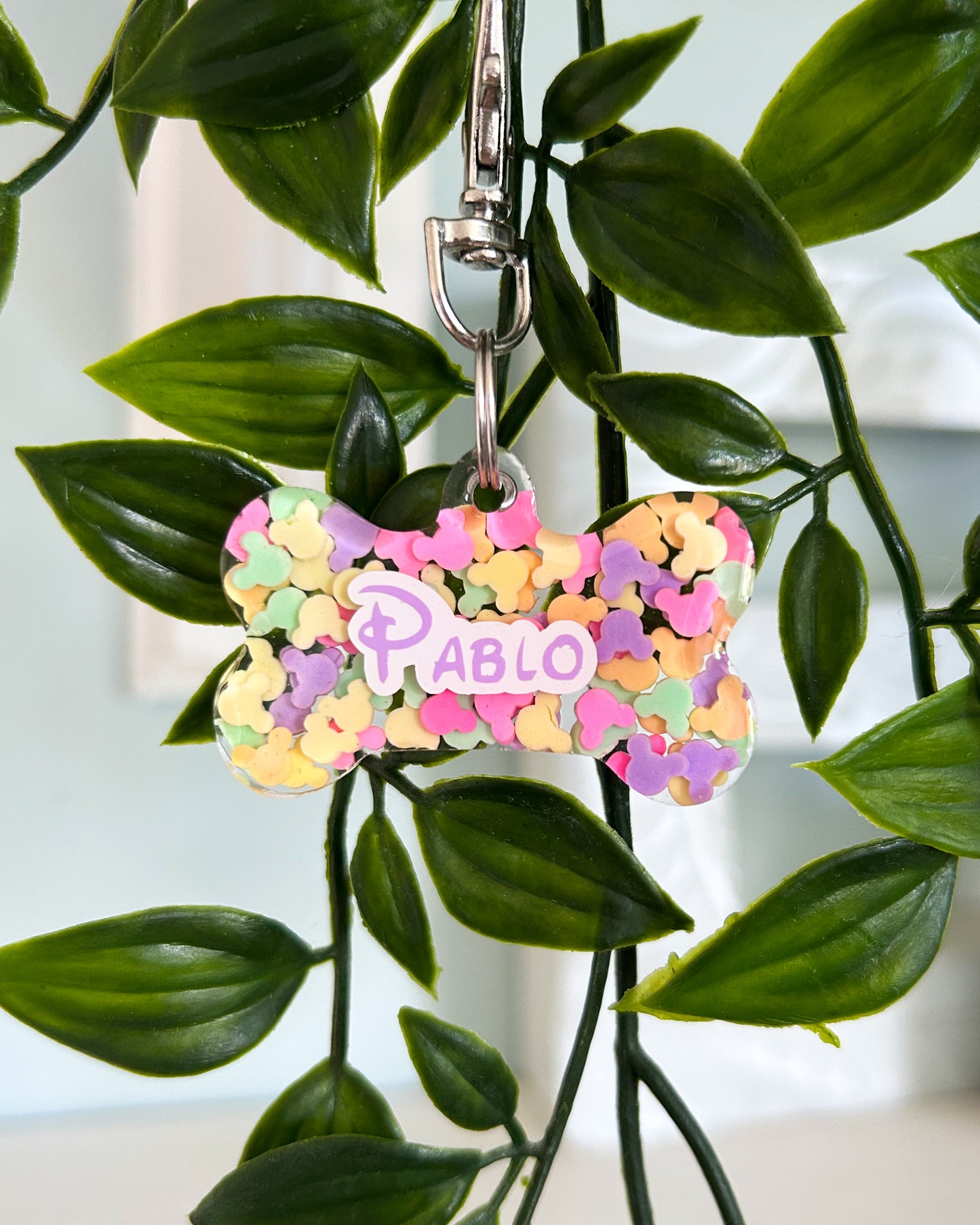 Rainbow Mice Resin ID Dog Tag / Pet Tag / Keyring