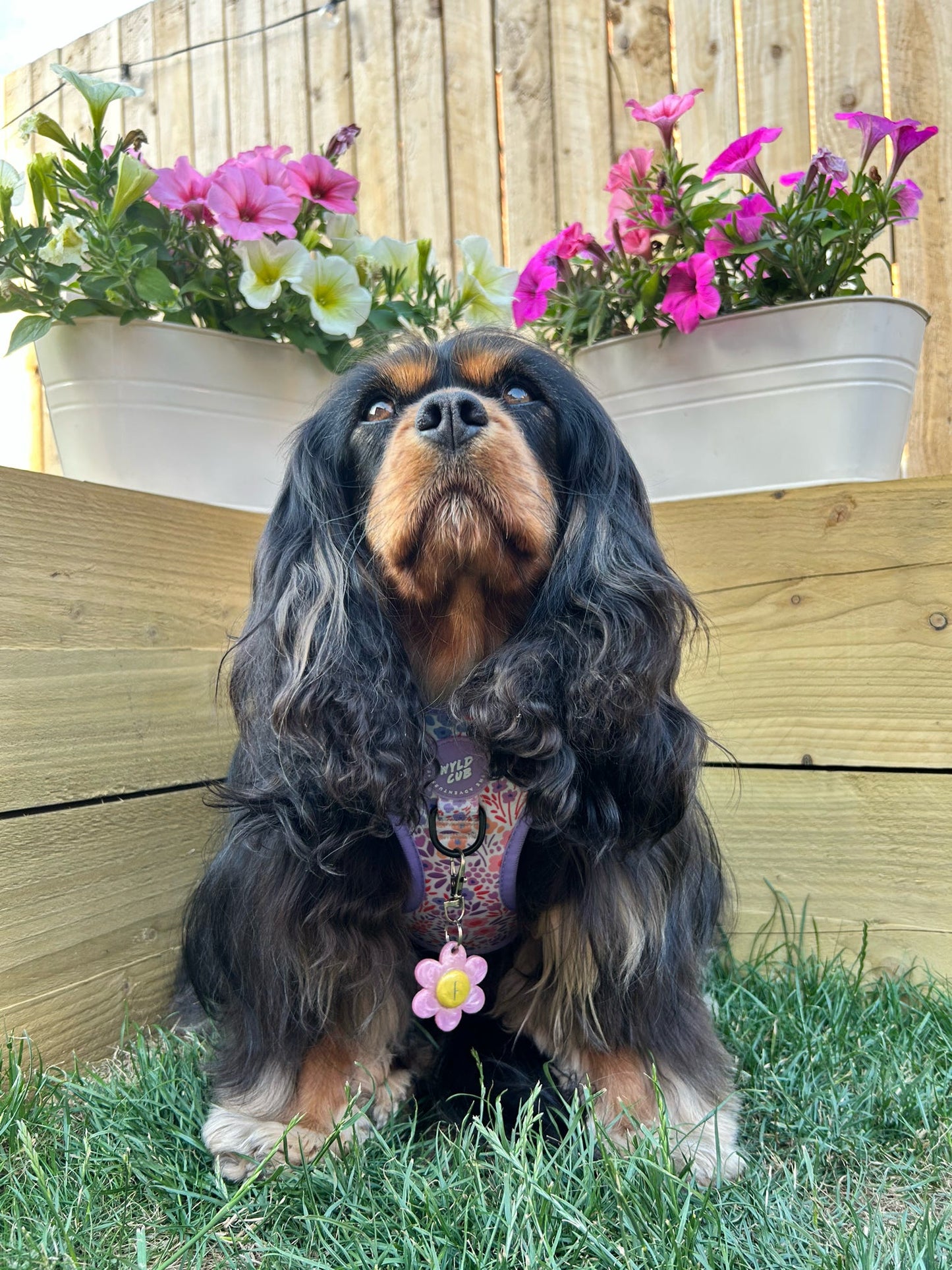 Domed Flower Resin ID Dog Tag / Pet Tag / Keyring