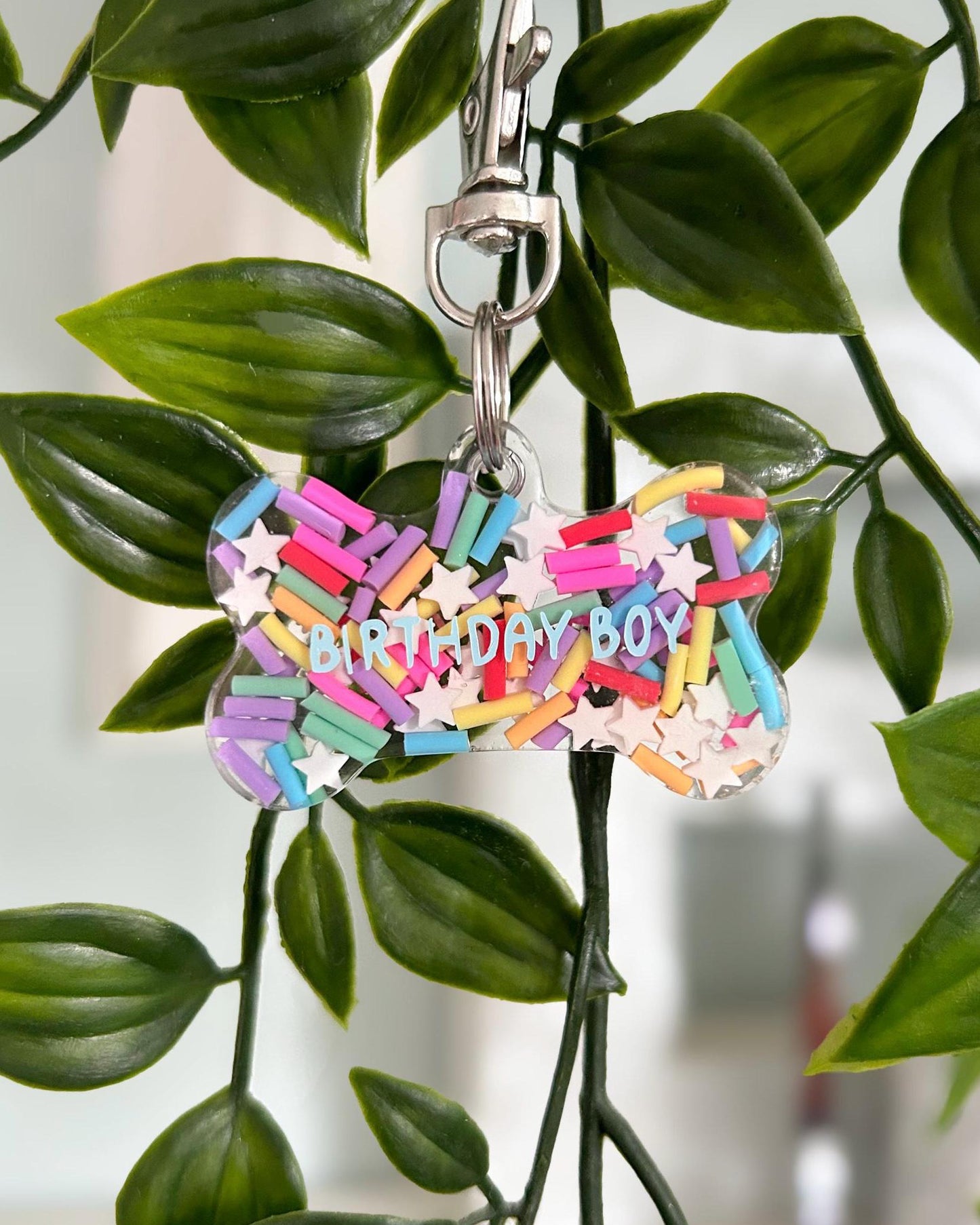 Birthday Girl/Boy ID Dog Tag / Pet Tag / Keyring