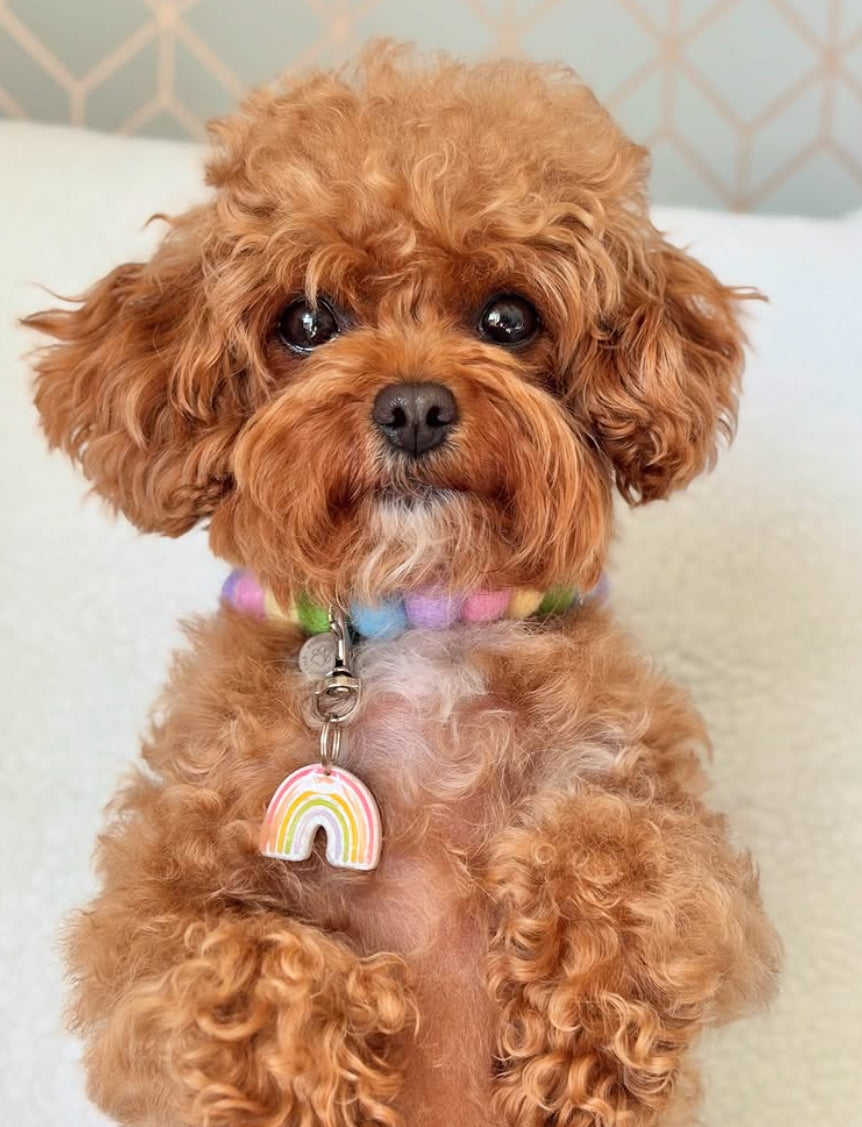 Rainbow Resin ID Dog Tag / Pet Tag / Keyring