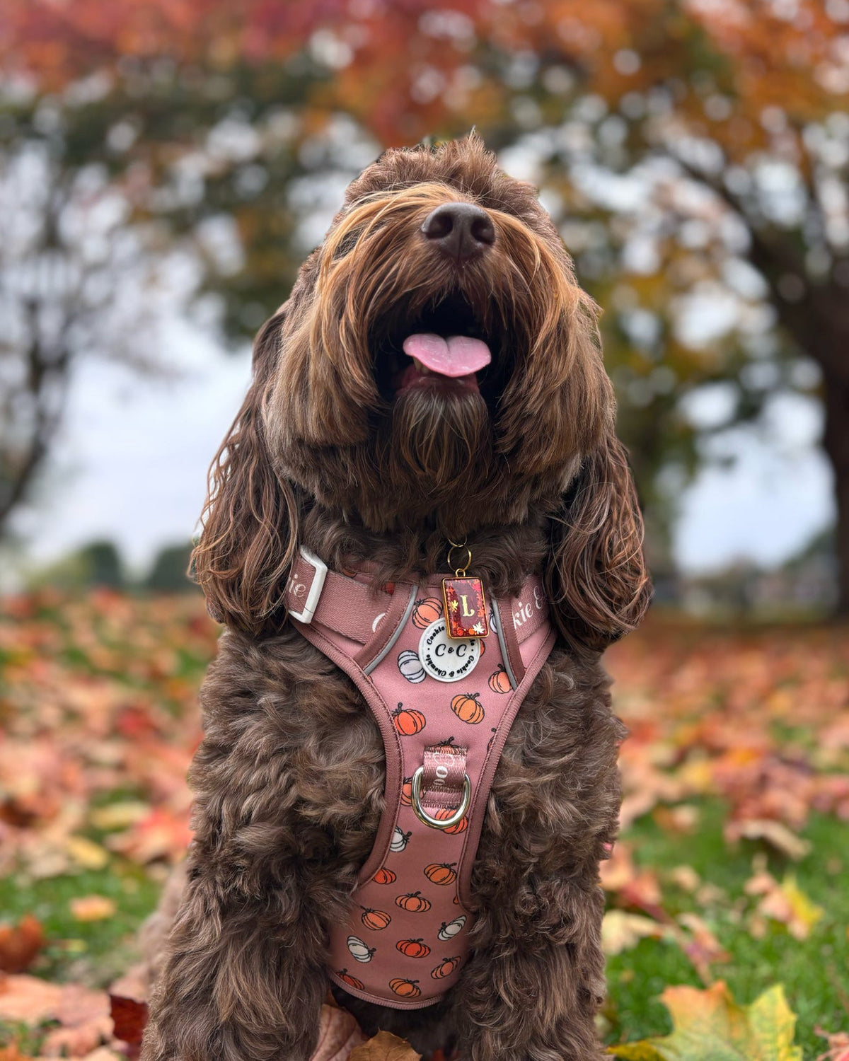 Autumn Wreath (Bezel) Resin ID Dog Tag / Pet Tag / Keyring