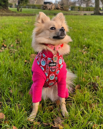 Mistletoe Resin ID Dog Tag / Pet Tag / Keyring