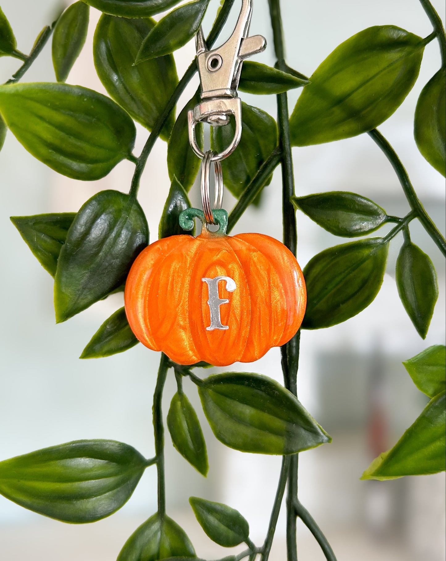 Pumpkin Resin ID Dog Tag / Pet Tag / Keyring