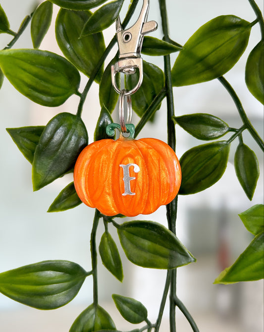 Pumpkin Resin ID Dog Tag / Pet Tag / Keyring