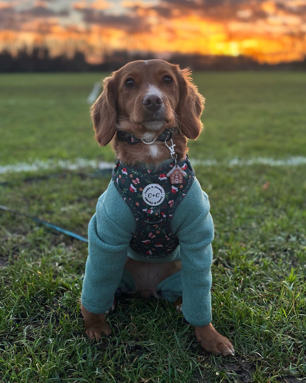 Gingerbread House Resin ID Dog Tag / Pet Tag / Keyring