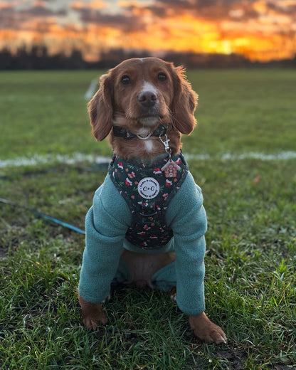 Gingerbread House Resin ID Dog Tag / Pet Tag / Keyring