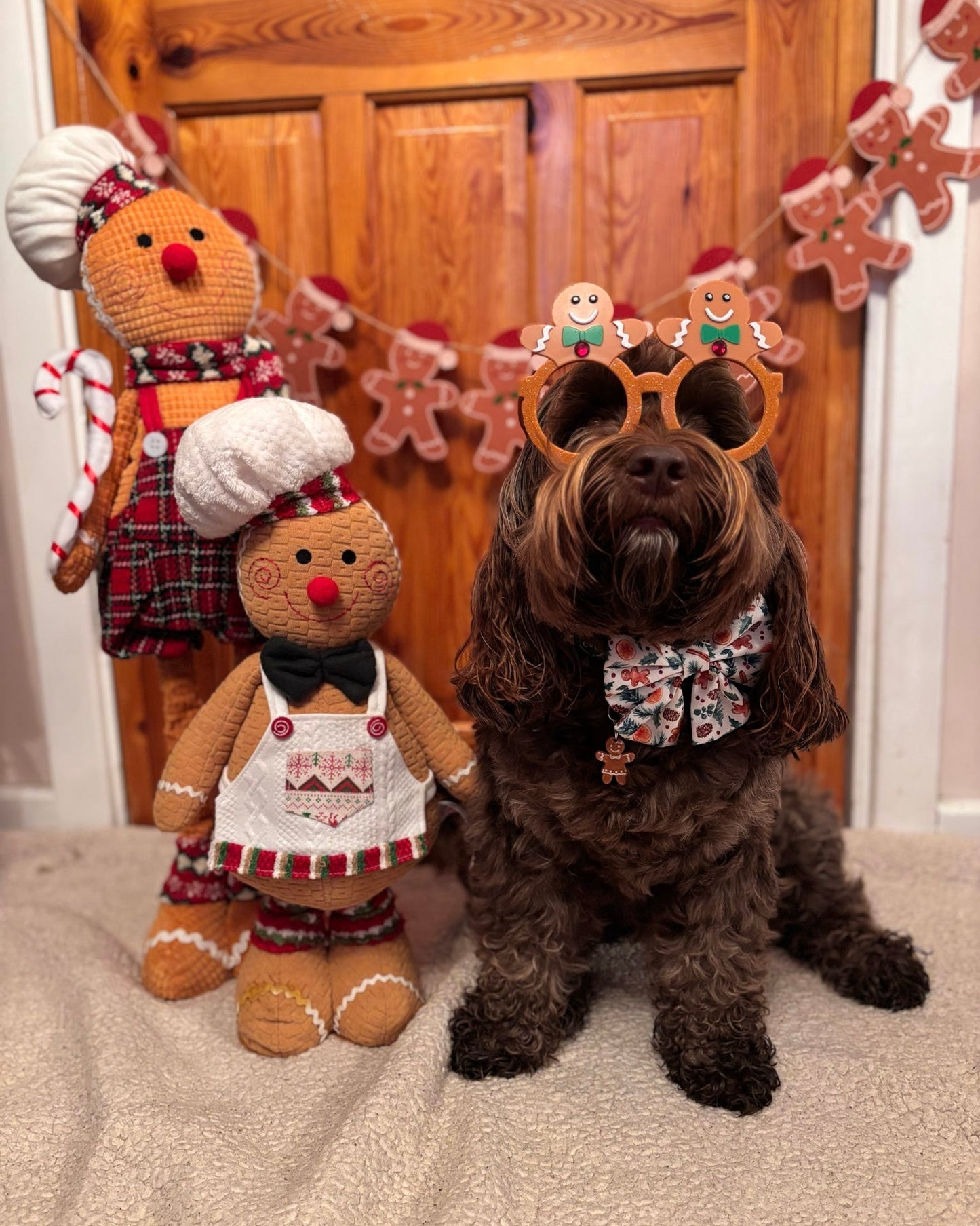 Gingerbread Man / Lady Resin ID Dog Tag / Pet Tag / Keyring