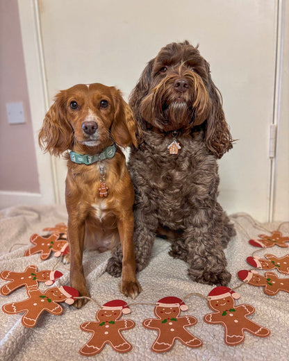 Gingerbread House Resin ID Dog Tag / Pet Tag / Keyring