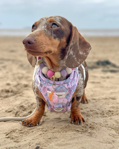 Seashell Resin ID Dog Tag / Pet Tag / Keyring