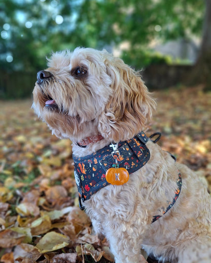 Pumpkin Resin ID Dog Tag / Pet Tag / Keyring