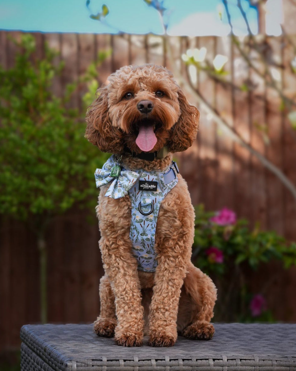Arch Resin ID Dog Tag / Pet Tag / Keyring