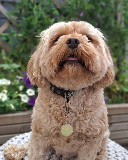 Tennis Ball ID Dog Tag / Pet Tag / Keyring