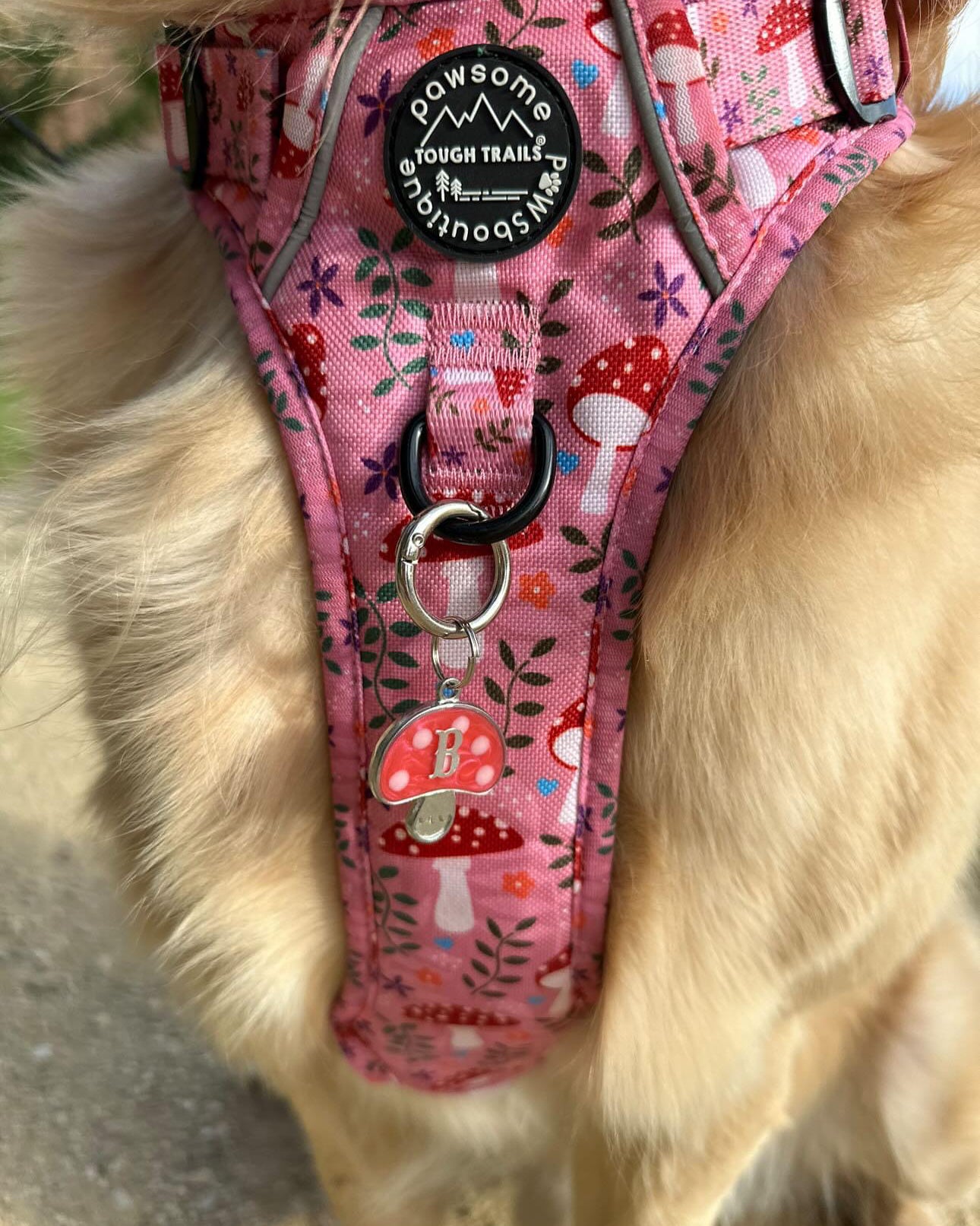 Mushroom Resin ID Dog Tag / Pet Tag / Keyring