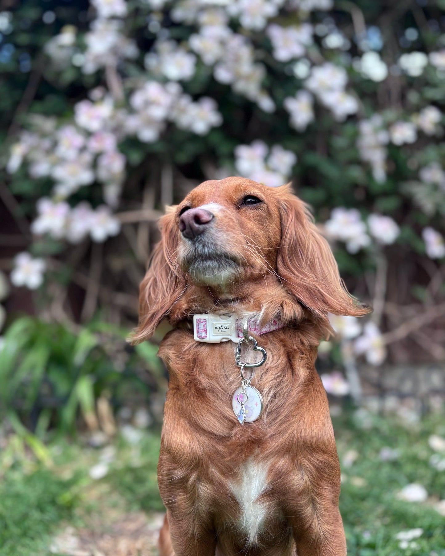 Drawn Flowers ID Dog Tag / Pet Tag / Keyring