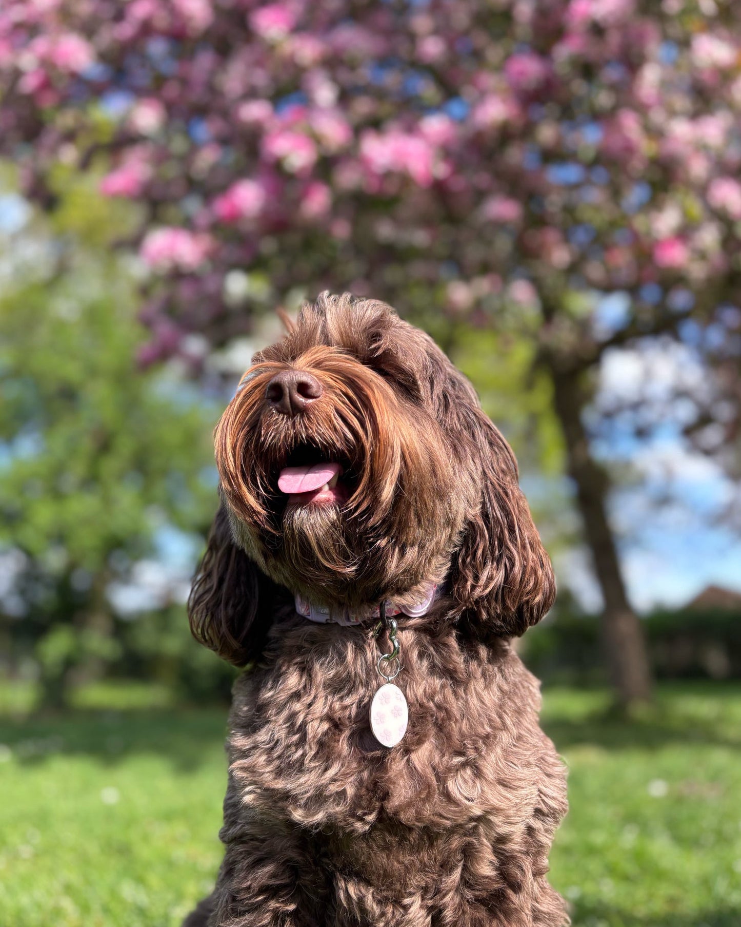 Sequin Blossom Resin ID Dog Tag / Pet Tag / Keyring