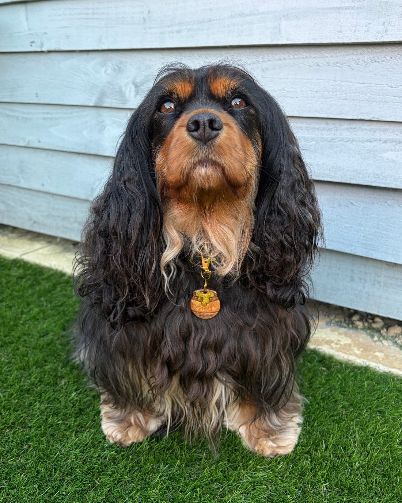 Honey Pot Resin ID Dog Tag / Pet Tag / Keyring