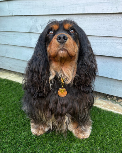 Honey Pot Resin ID Dog Tag / Pet Tag / Keyring