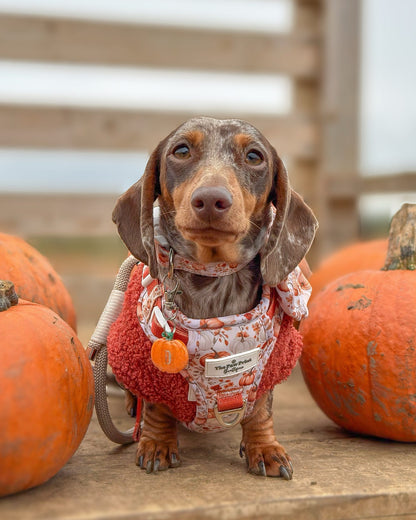 Pumpkin Resin ID Dog Tag / Pet Tag / Keyring
