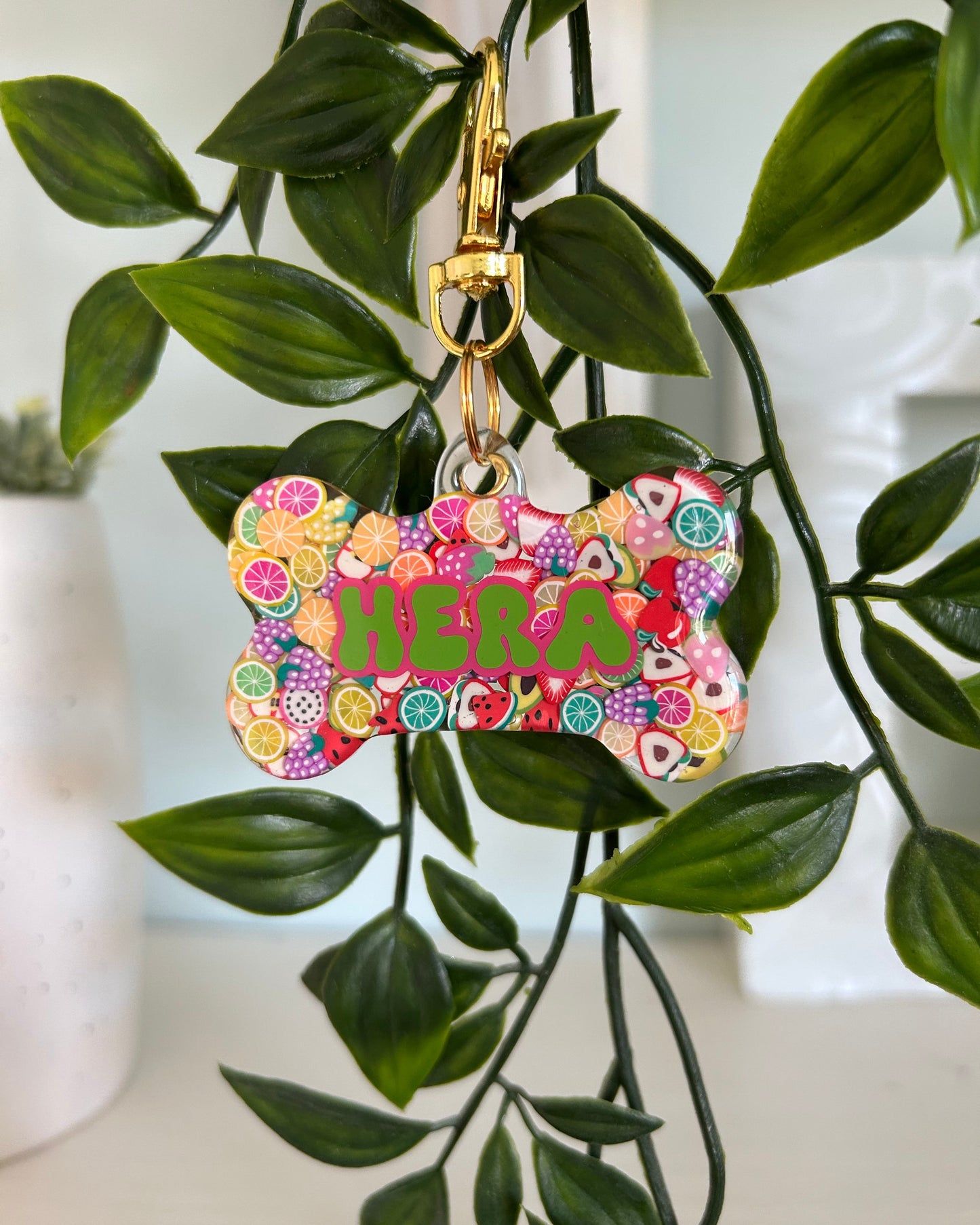 Mixed Fruits Resin ID Dog Tag / Pet Tag / Keyring