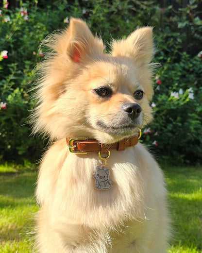 Evie the Fox Resin ID Dog Tag / Pet Tag / Keyring