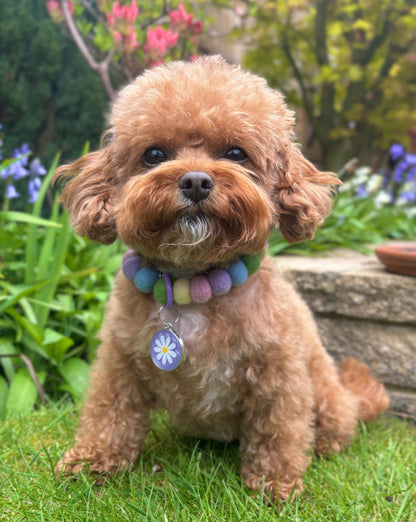 Daisy Resin ID Dog Tag / Pet Tag / Keyring
