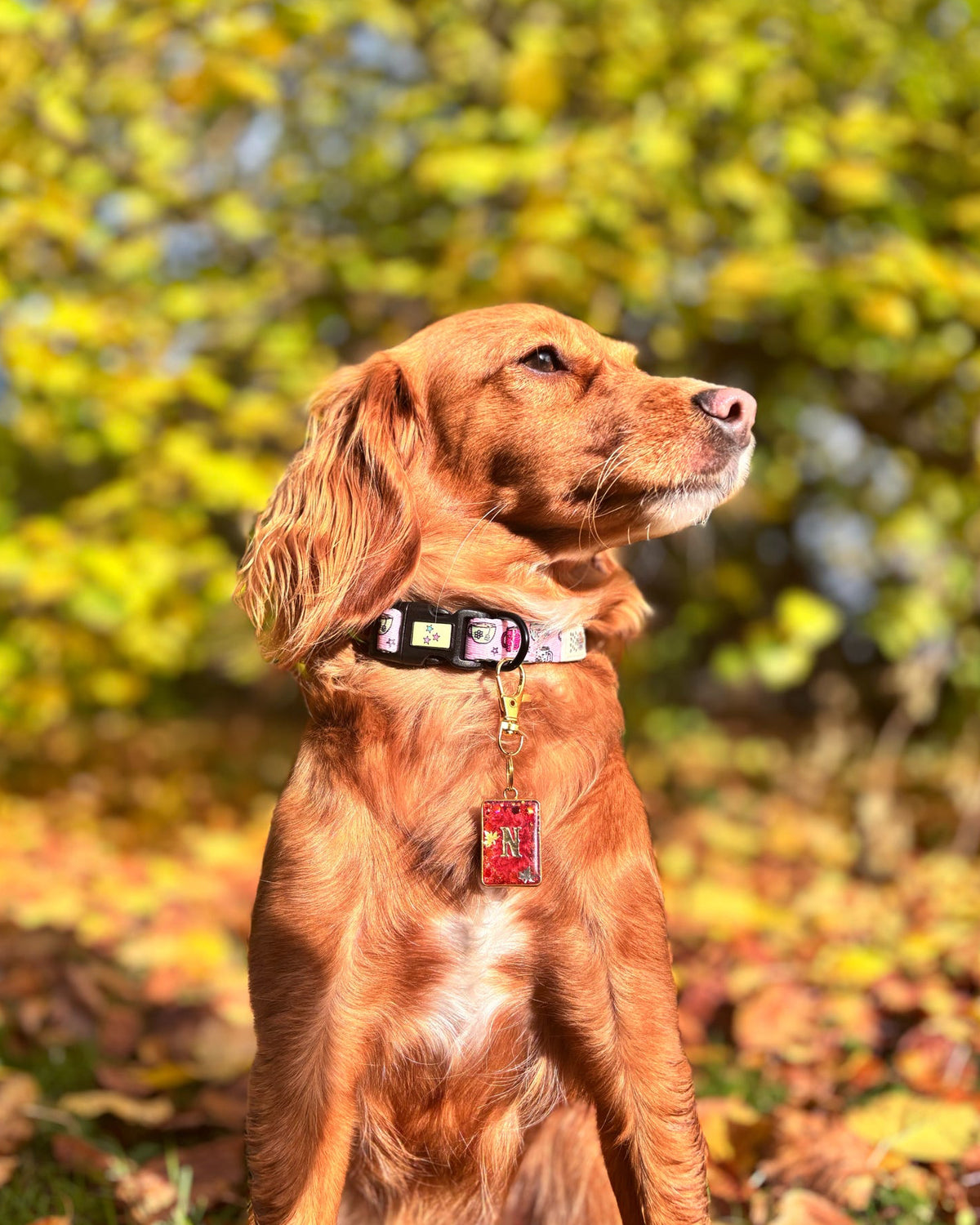 Autumn Wreath (Bezel) Resin ID Dog Tag / Pet Tag / Keyring