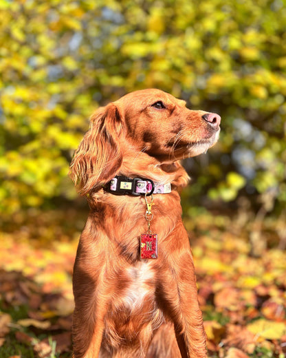 Autumn Wreath (Bezel) Resin ID Dog Tag / Pet Tag / Keyring
