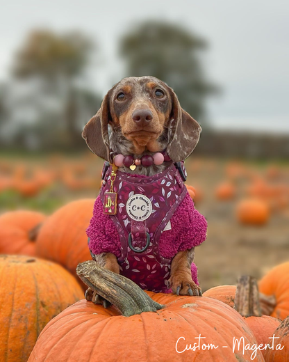 Autumn Crisp (Bezel) Resin ID Dog Tag / Pet Tag / Keyring