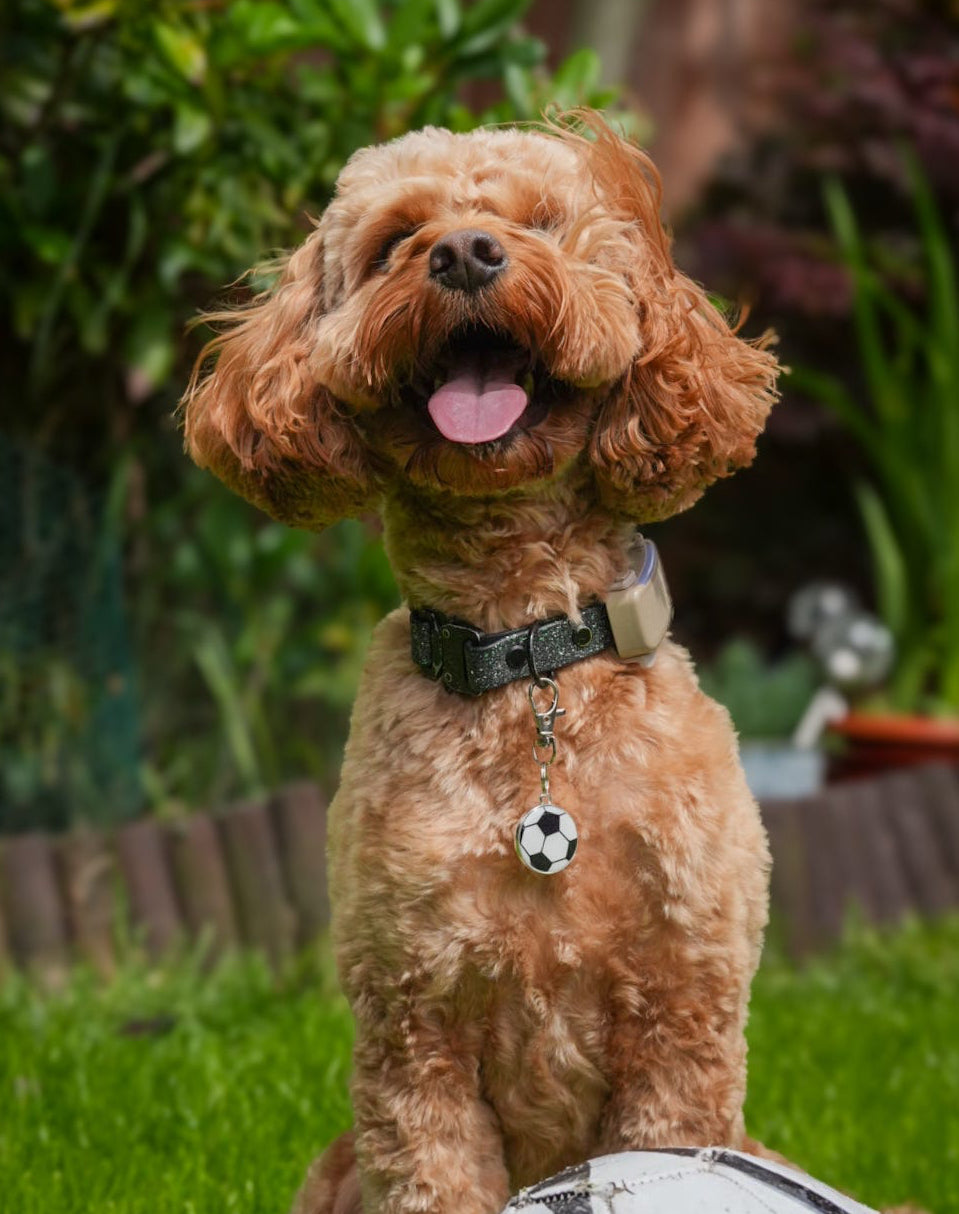 Football ID Dog Tag / Pet Tag / Keyring