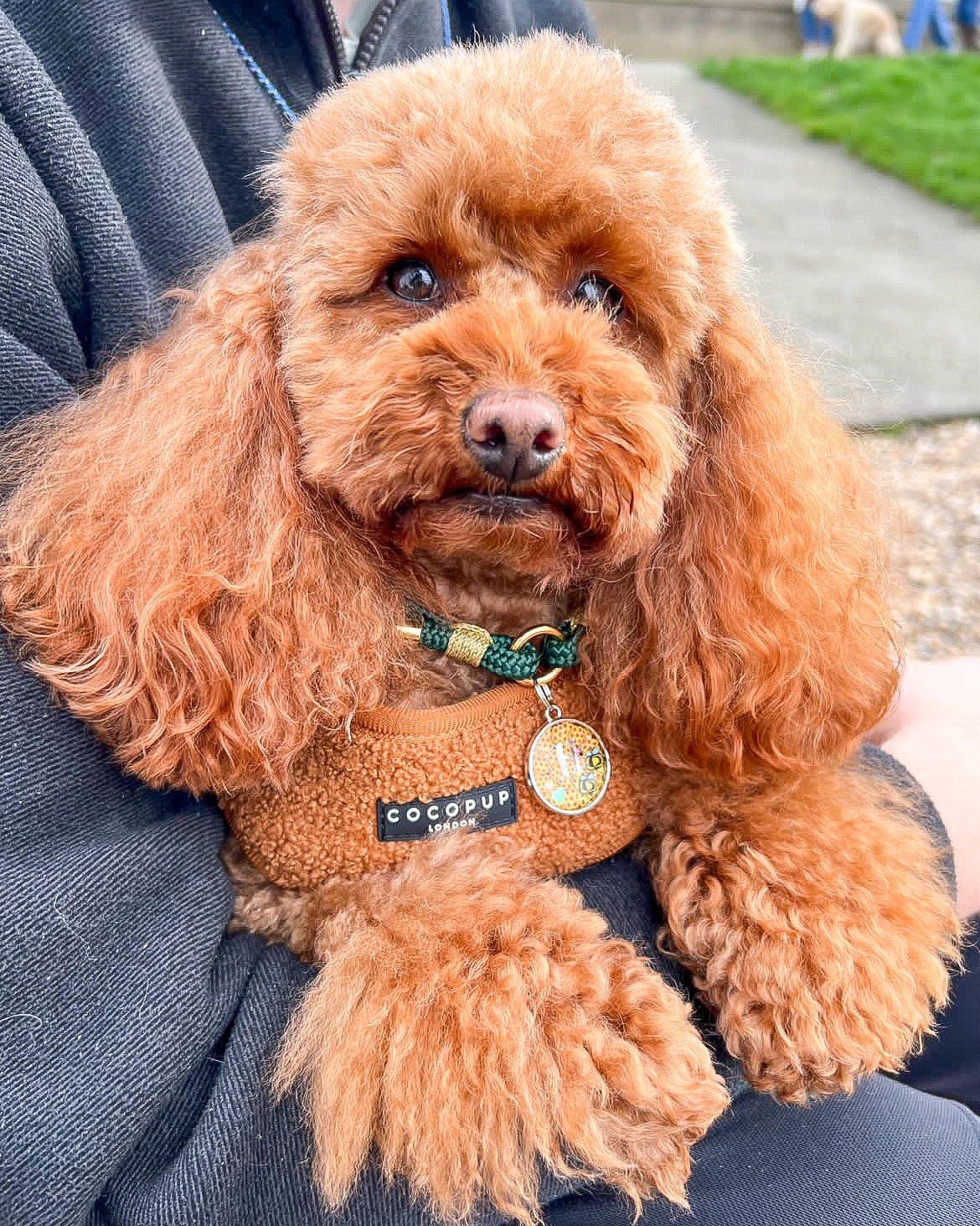 Honeycomb/Honey Bee Resin ID Dog Tag / Pet Tag / Keyring