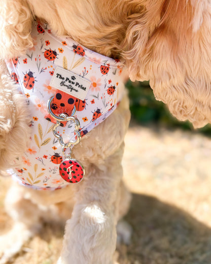 Ladybird Print Resin ID Dog Tag / Pet Tag / Keyring
