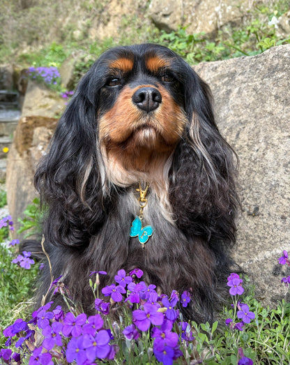 Butterfly (Bezel) Resin ID Dog Tag / Pet Tag / Keyring