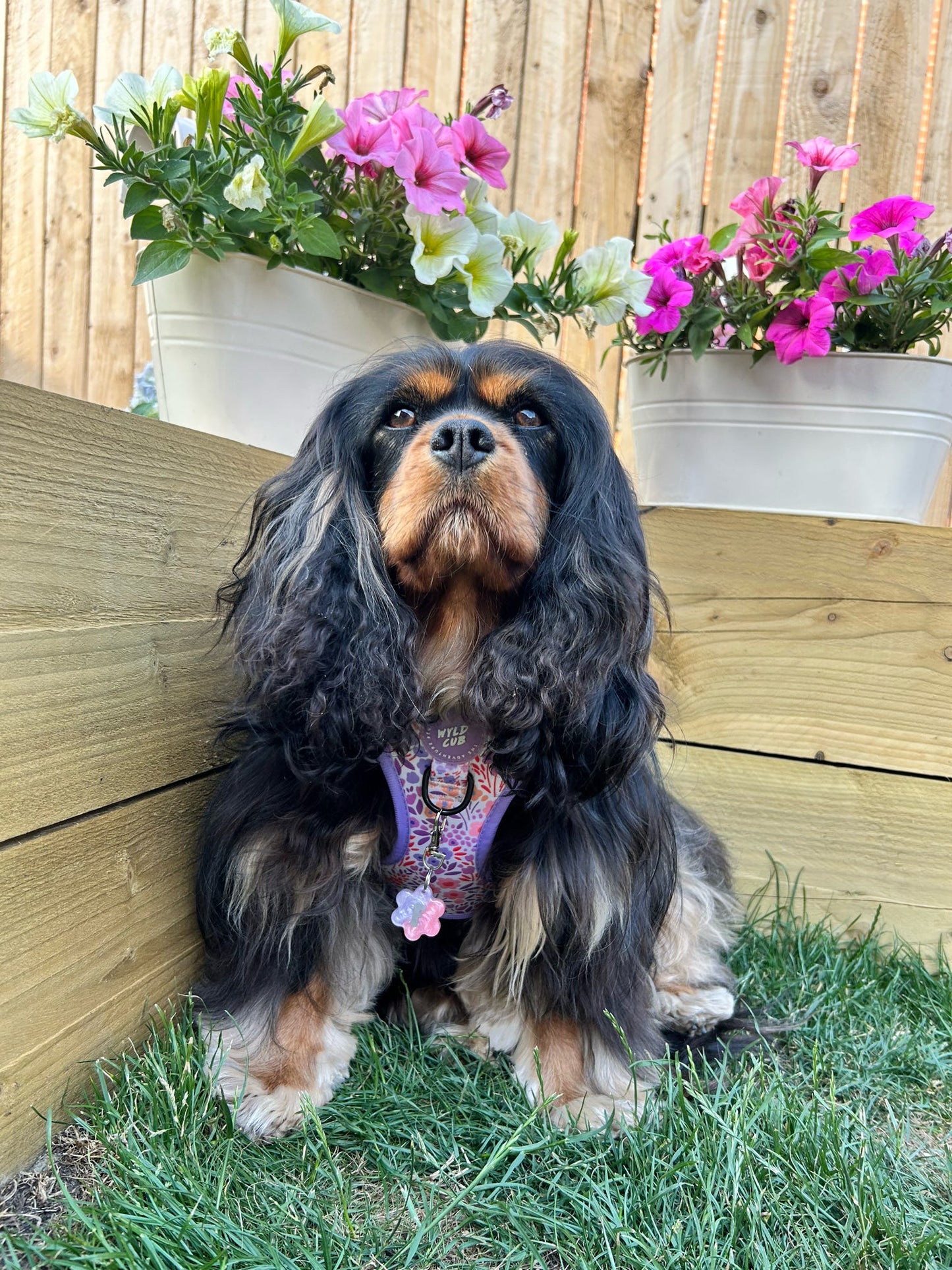 Flower Resin ID Dog Tag / Pet Tag / Keyring
