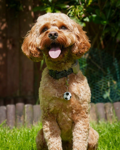 Football ID Dog Tag / Pet Tag / Keyring