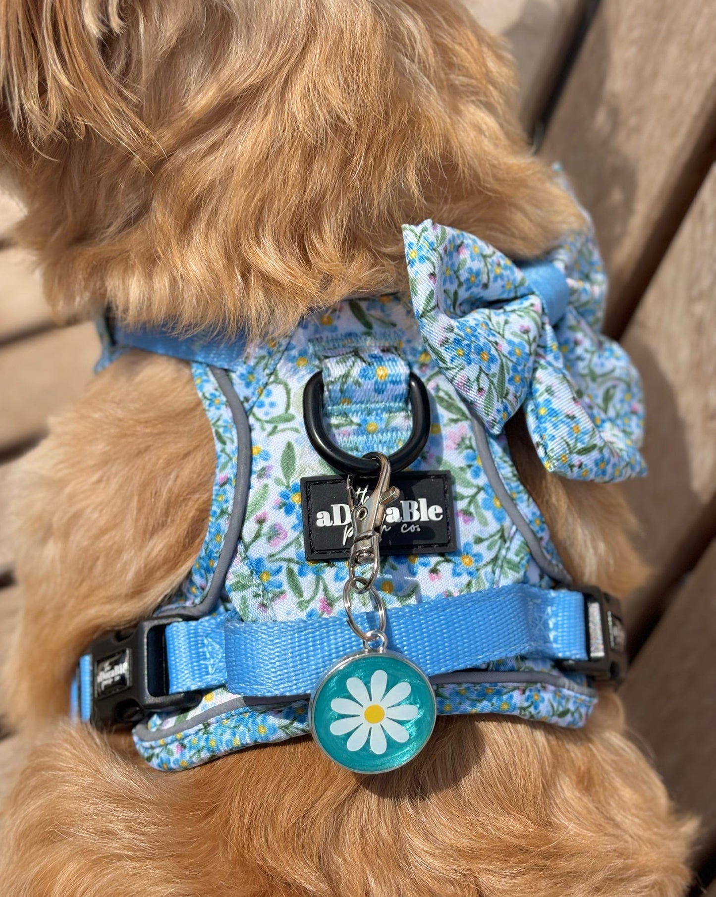 Daisy Resin ID Dog Tag / Pet Tag / Keyring