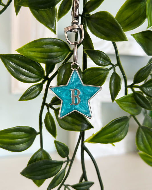 Star (Bezel) Resin ID Dog Tag / Pet Tag / Keyring