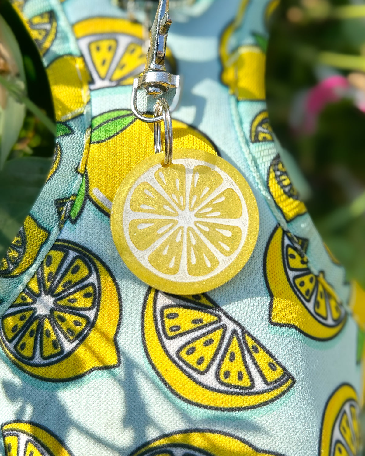 Citrus Resin ID Dog Tag / Pet Tag / Keyring