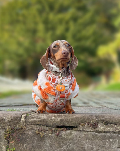 Pumpkin Resin ID Dog Tag / Pet Tag / Keyring