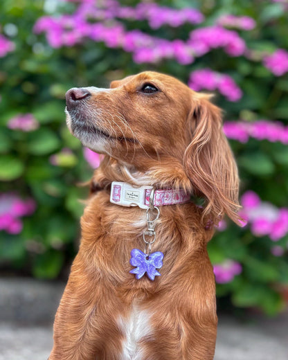 Bow Resin ID Dog Tag / Pet Tag / Keyring