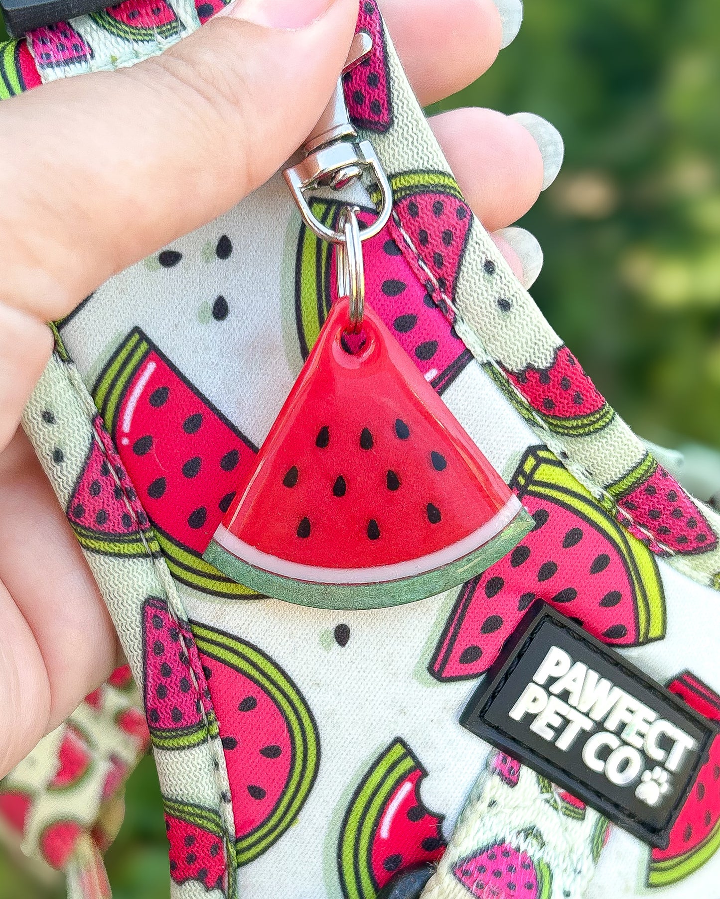 Watermelon Resin ID Dog Tag / Pet Tag / Keyring