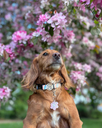 Pink & Yellow Flowers Resin ID Dog Tag / Pet Tag / Keyring
