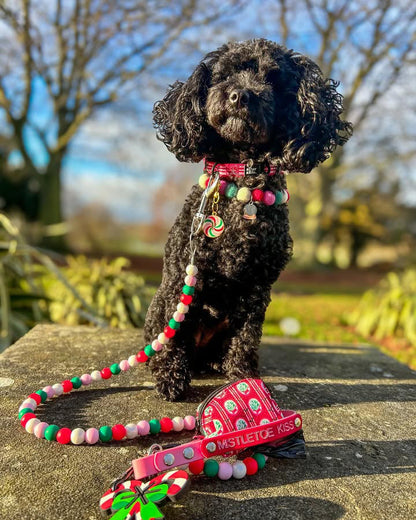 Candy Cane Swirl Resin ID Dog Tag / Pet Tag / Keyring