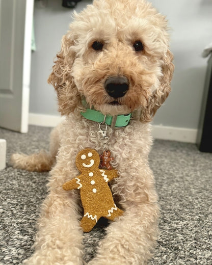 Gingerbread Man / Lady Resin ID Dog Tag / Pet Tag / Keyring