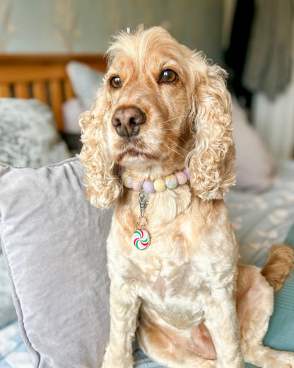 Candy Cane Swirl Resin ID Dog Tag / Pet Tag / Keyring