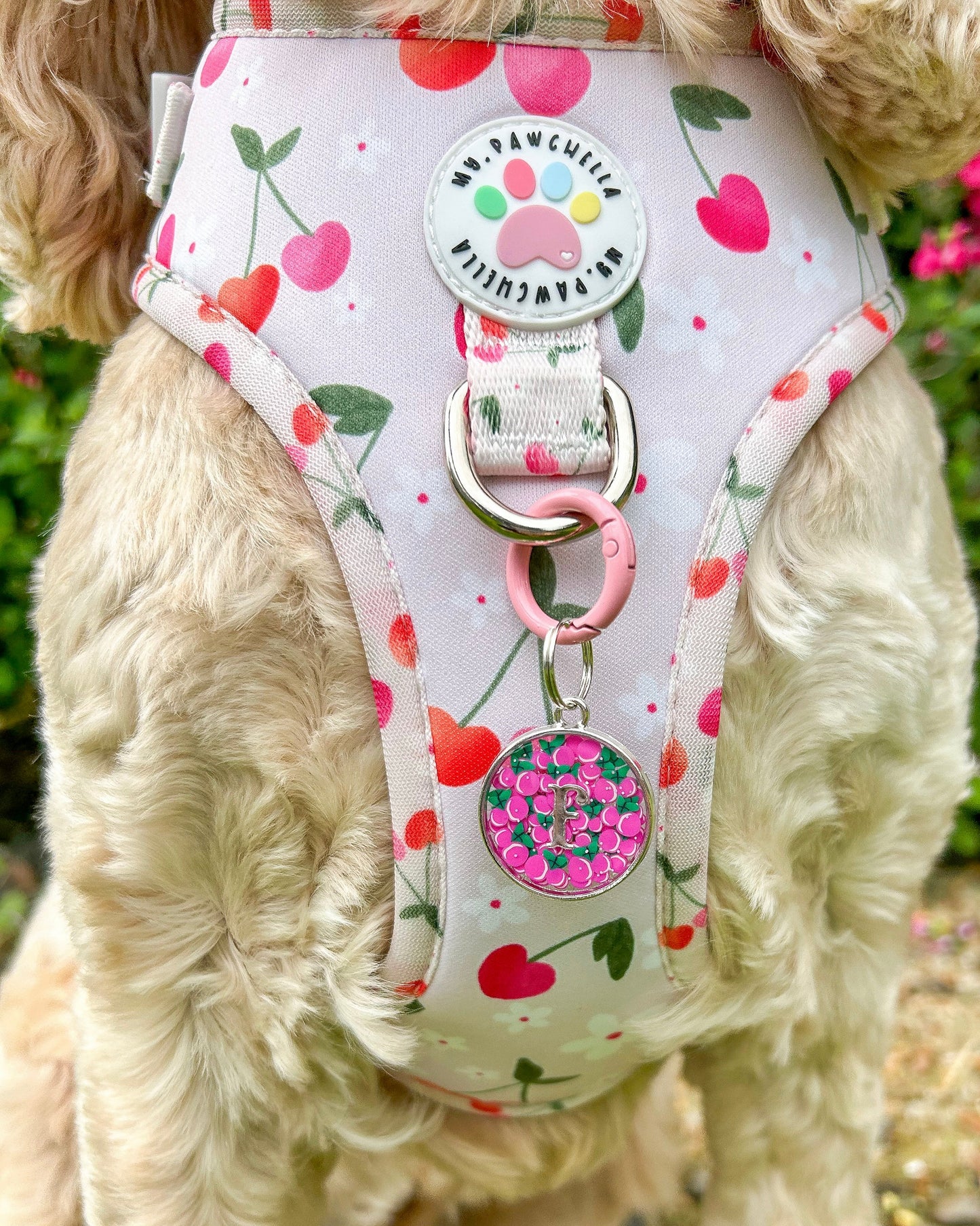Cherry Sprinkle Resin ID Dog Tag / Pet Tag / Keyring