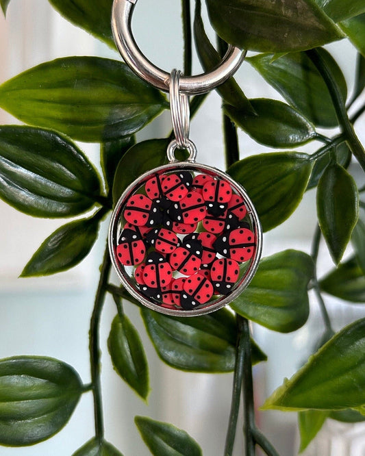 Ladybird Resin ID Dog Tag / Pet Tag / Keyring